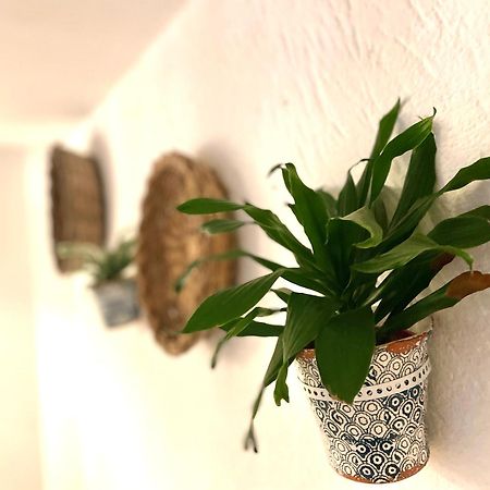 Casa Mia Villa Mola di Bari Dış mekan fotoğraf